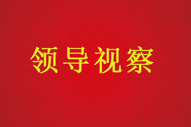 陕西省国土资源厅厅长卢勇一行来不动产登记服务中心调研、指导工作