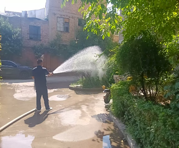 守护家园绿意,共筑生态栖居