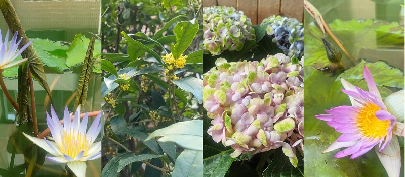 1762999037613685.jpg 图片2.jpg