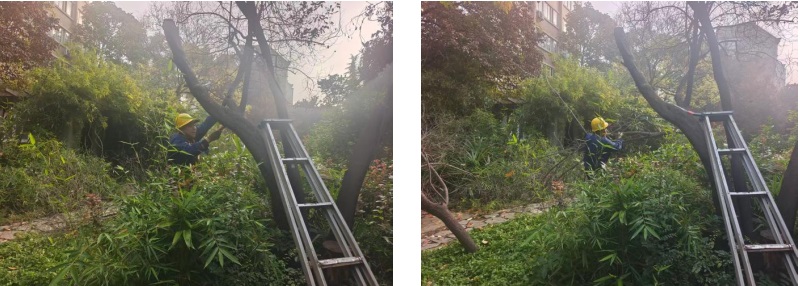 1762999425143084.jpg 企业微信截图_17629990954827.jpg